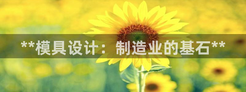 太阳集团是什么集团：**模具设计：制造业的基石**