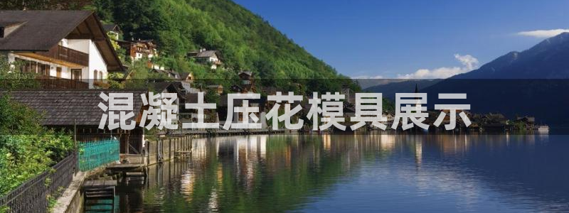 太阳科技集团：混凝土压花模具展示