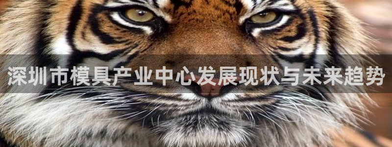 太阳成集团游戏合集：深圳市模具产业中心发展现状与未来趋势