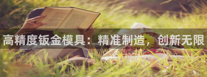 太阳成集团老板是谁：高精度钣金模具：精准制造，创新无限