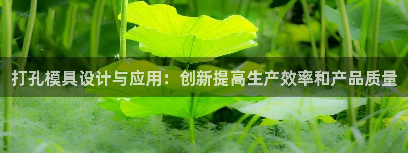 太阳成集团下载：打孔模具设计与应用：创新提高生产效率和产品质量