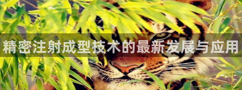 太阳gg平台地址：精密注射成型技术的最新发展与应用