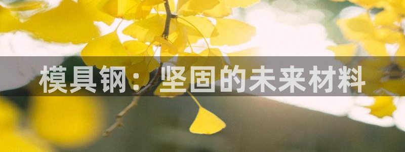 太阳诚集团是干什么的：模具钢：坚固的未来材料