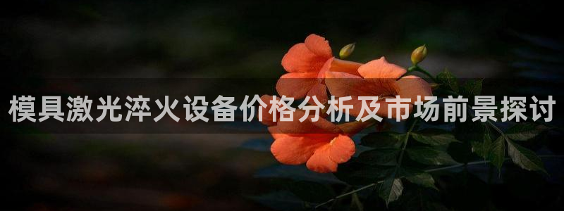 太阳集团tcy8722电子游戏：模具激光淬火设备价格分析及市场前景探讨