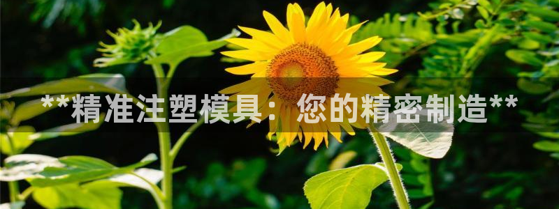 太阳2平台app下载：**精准注塑模具：您的精密制造**