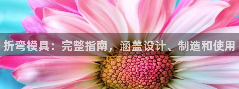 太阳集团怎么样：折弯模具：完整指南，涵盖设计、制造和使用