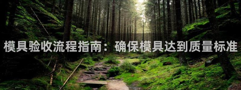 太阳影视公司：模具验收流程指南：确保模具达到质量标准
