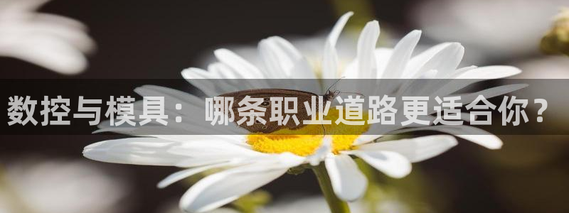 太阳gg注册/登录：数控与模具：哪条职业道路更适合你？