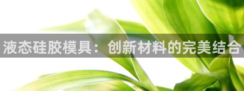 太阳软件：液态硅胶模具：创新材料的完美结合