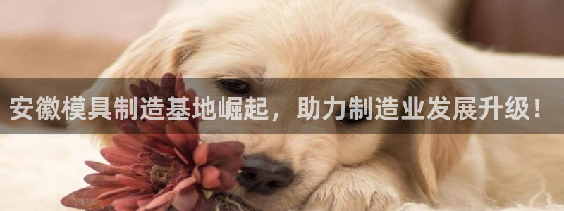 太阳诚集团APP：安徽模具制造基地崛起，助力制造业发展升级！