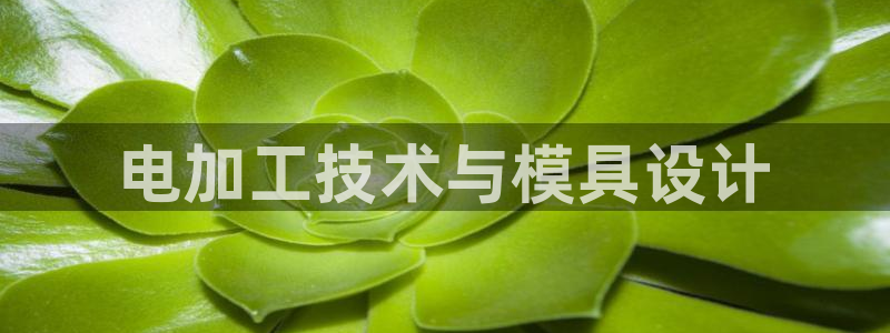 太阳诚集团所有网站：电加工技术与模具设计
