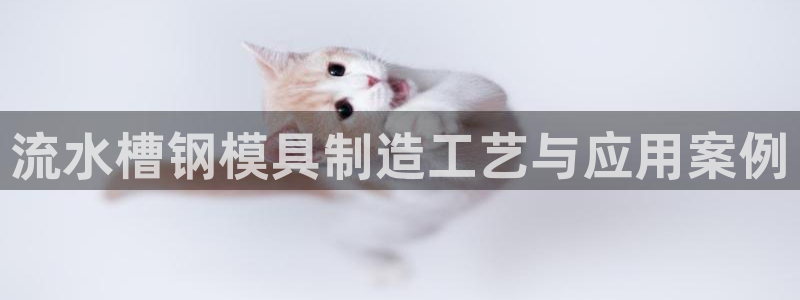 太阳集团电子游戏官方版：流水槽钢模具制造工艺与应用案例