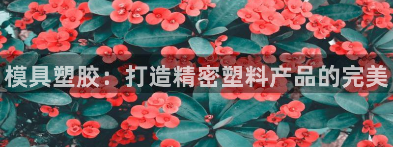 澳门太阳成城集团洗米华