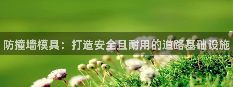 2138cn太阳集团古天乐·网上娱乐：防撞墙模具：打造安全且耐用的道路基础设施