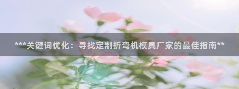 太阳集团网投：***关键词优化：寻找定制折弯机模具厂家的最佳指南**