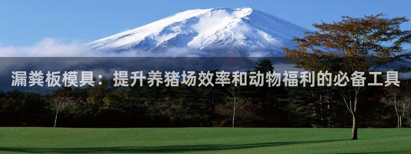 太阳游戏盒子