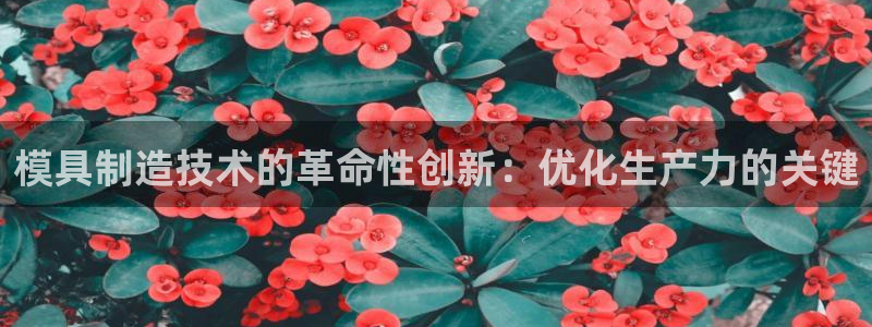 太阳集团3143：模具制造技术的革命性创新：优化生产力的关键