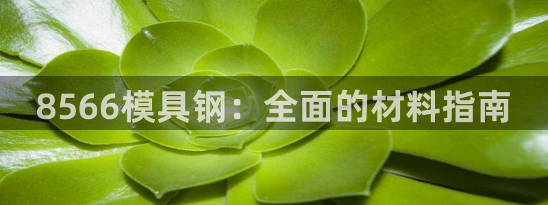 太阳appvip：8566模具钢：全面的材料指南