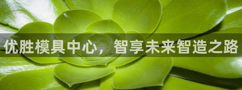 古天乐只有太阳能黑：优胜模具中心，智享未来智造之路