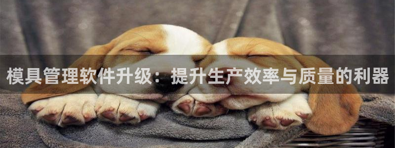 2138cn太阳集团古天乐·首页(欢迎您)：模具管理软件升级：提升生产效率与质量的利器