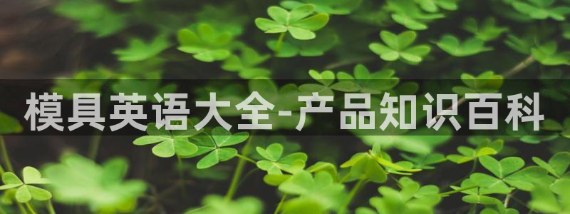 太阳成集团tyc234cc[主页]网址：模具英语大全-产品知识百科
