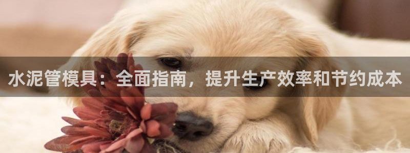 太阳2游戏娱乐官网