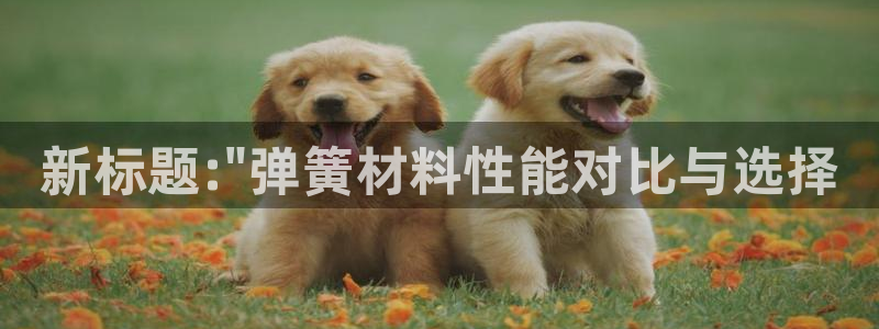 太阳集团2018登录网址是多少：新标题:\