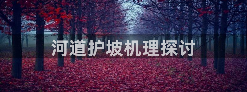 太阳c集团：河道护坡机理探讨