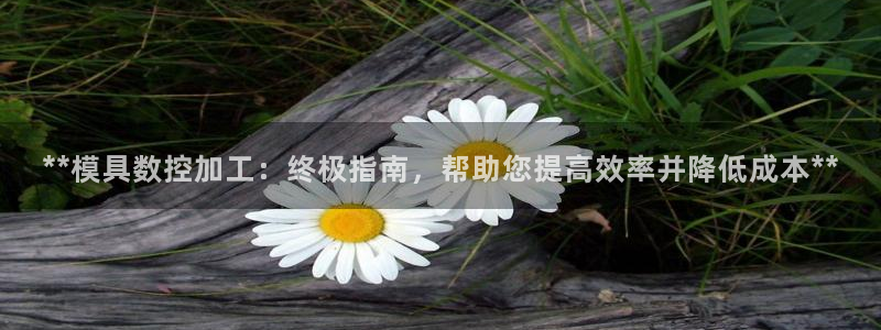 太阳集团游戏城新版138：**模具数控加工：终极指南，帮助您提高效率并降低成本**