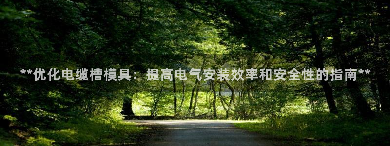 太阳集团游戏App：**优化电缆槽模具：提高电气安装效率和安全性的指南**