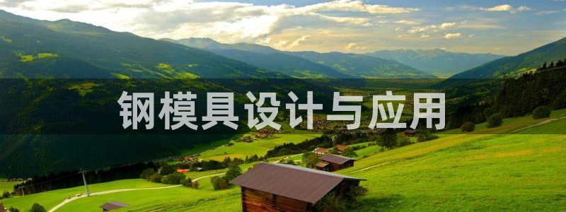 太阳成集团tyc122cc：钢模具设计与应用