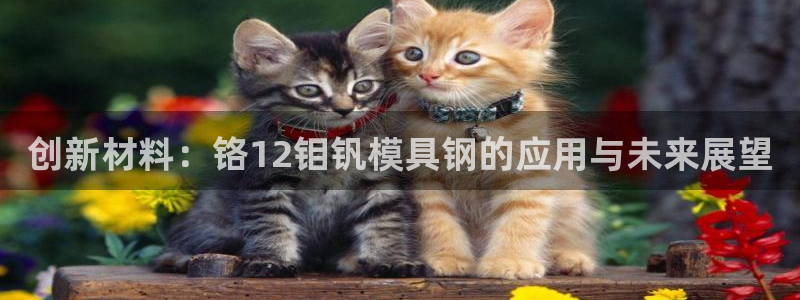 太阳成集团网址：创新材料：铬12钼钒模具钢的应用与未来展望