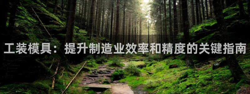 太阳集团tcy8722电子游戏：工装模具：提升制造业效率和精度的关键指南