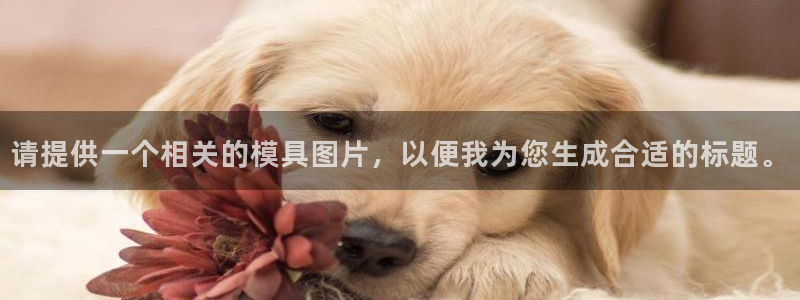 太阳集团在哪里：请提供一个相关的模具图片，以便我为您生成合适的标题。