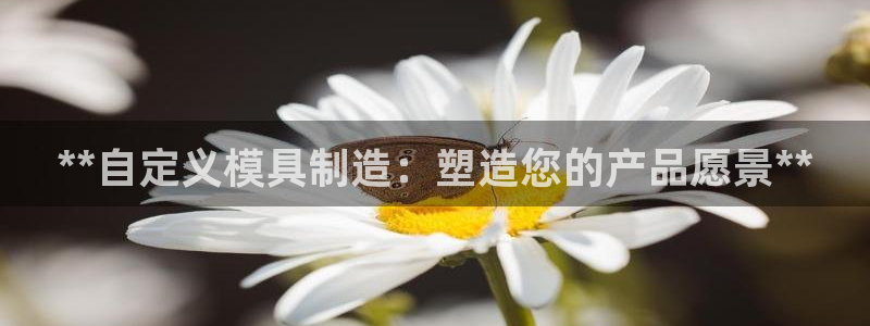 太阳集团城网址娱网 - 太阳集团电子游戏：**自定义模具制造：塑造您的产品愿景**