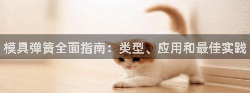太阳集团网址：模具弹簧全面指南：类型、应用和最佳实践