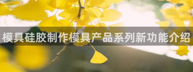 太阳gg在线测速登录：模具硅胶制作模具产品系列新功能介绍