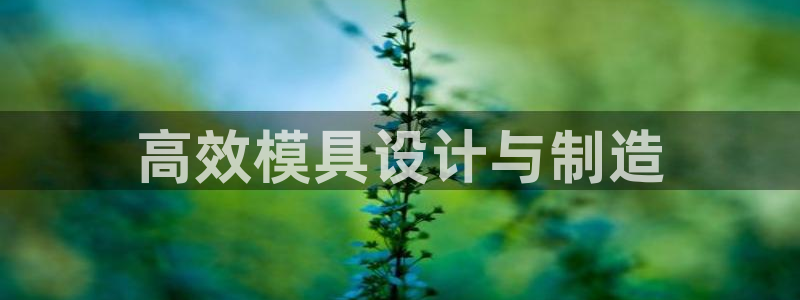 太阳集团董事长的儿子照片：高效模具设计与制造