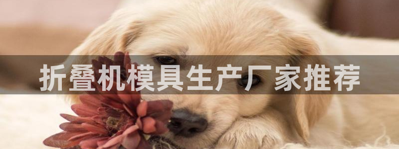 063801太阳集团备用网址：折叠机模具生产厂家推荐