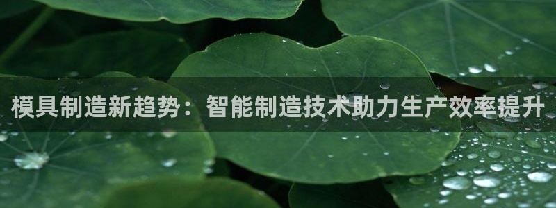 太阳成集团控股买购网：模具制造新趋势：智能制造技术助力生产效率提升