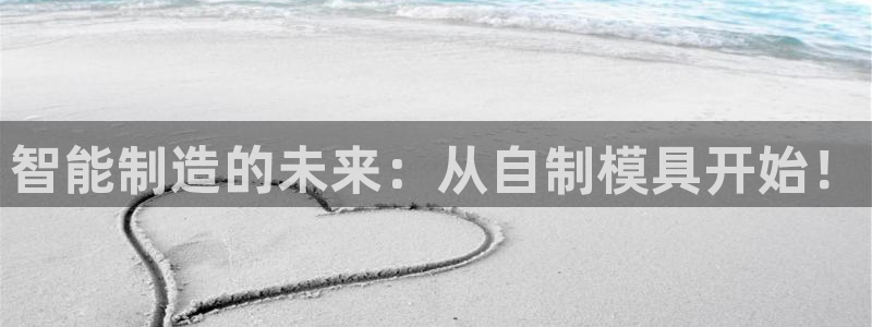 太阳商城贵宾会：智能制造的未来：从自制模具开始！