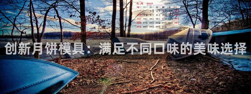 太阳诚集团所有网站：创新月饼模具：满足不同口味的美味选择