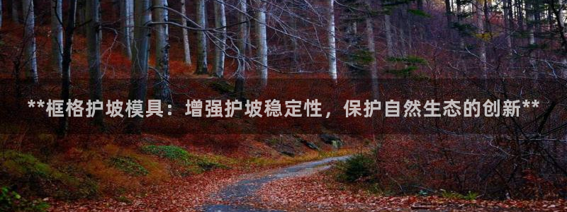 太阳集团贵宾网站：**框格护坡模具：增强护坡稳定性，保护自然生态的创新**