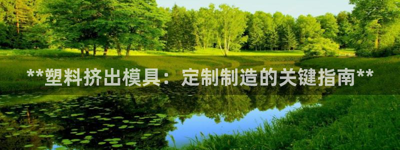 太阳集团在哪里：**塑料挤出模具：定制制造的关键指南**
