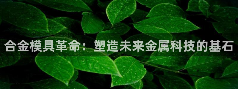 太阳集团电子游戏大全：合金模具革命：塑造未来金属科技的基石