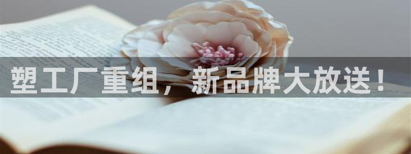 太阳成集团tyc151：塑工厂重组，新品牌大放送！