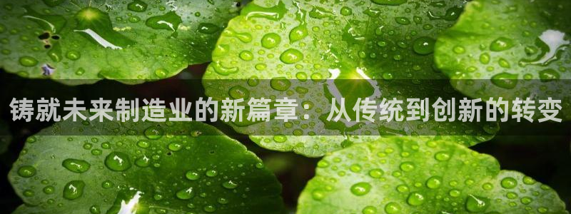 太阳集团是怎样一个公司：铸就未来制造业的新篇章：从传统到创新的转变