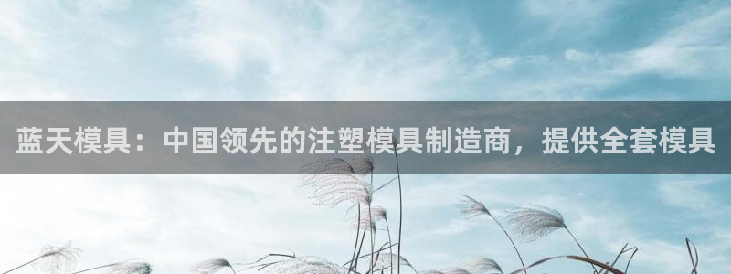 太阳2游戏娱乐官网：蓝天模具：中国领先的注塑模具制造商，提供全套模具