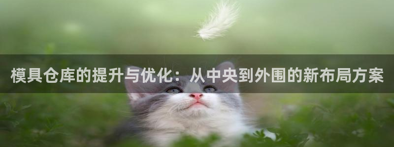太阳成集团tyc234cc[主页]网：模具仓库的提升与优化：从中央到外围的新布局方案