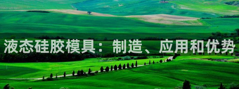 太阳集团tcy8722贵宾会：液态硅胶模具：制造、应用和优势